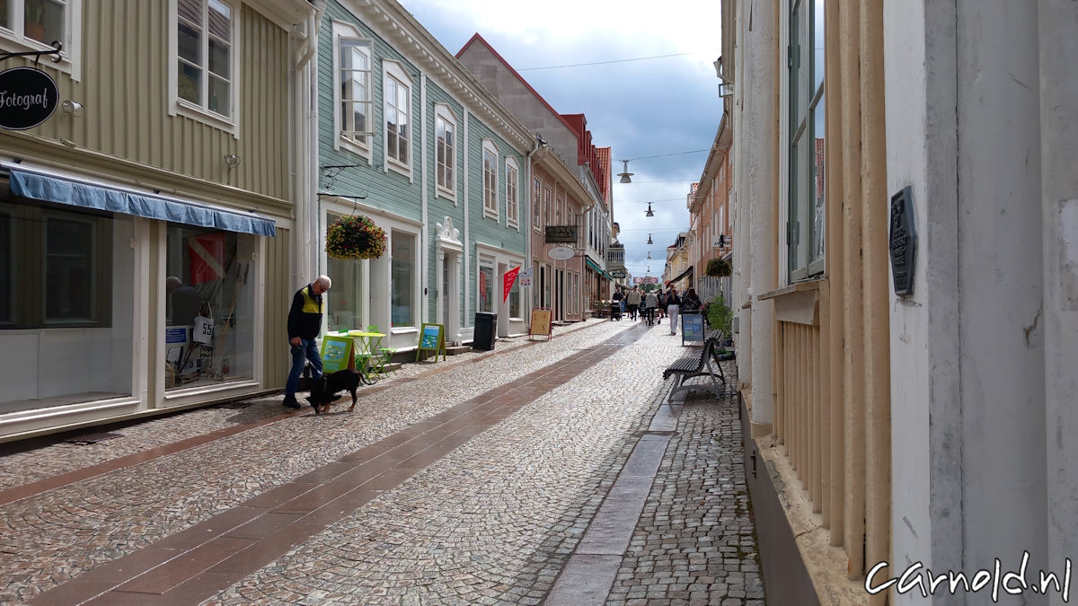 Lexus_NX450h_F Sport Line_Test-12