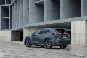 2022_Lexus_NX-18