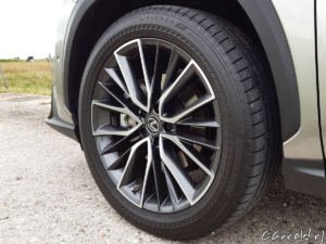 Lexus-NX350h_Rijtest_-18