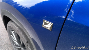 Lexus_NX450h_F Sport Line_Test-10