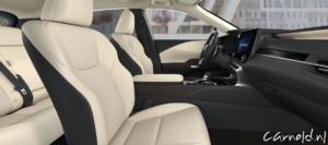 Lexus_RX_F Sport Design-03