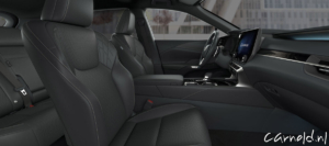 Lexus_RX_F Sport Design-04