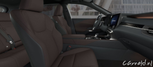 Lexus_RX_F Sport Design-05