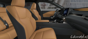 Lexus_RX_F Sport Design-06