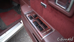 Nissan-Laurel-Medalist-doorpanel